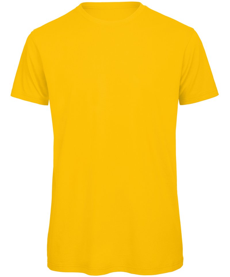 BA118_Gold_FT
