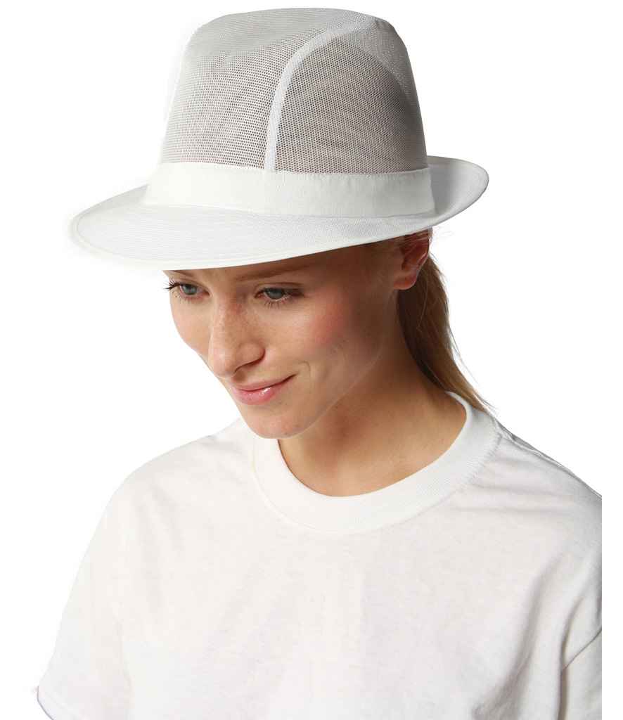 DE034 White Model