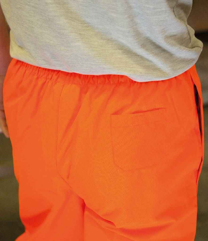 RS22 Orange Model