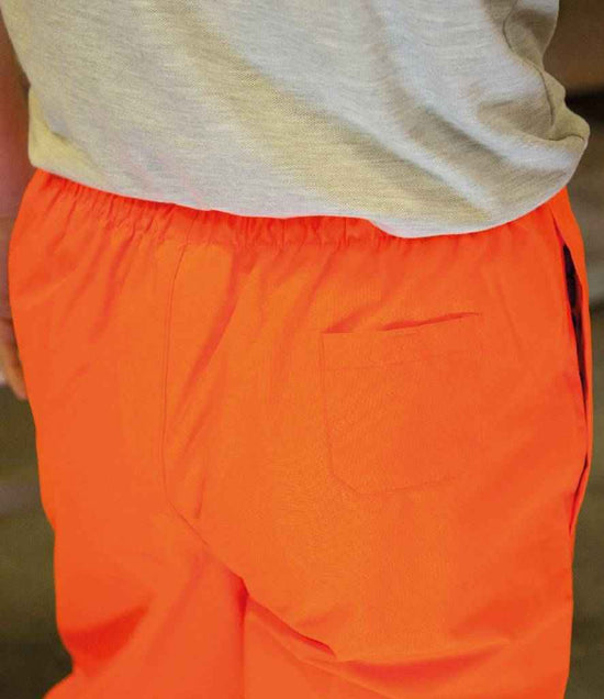 RS22 Orange Model